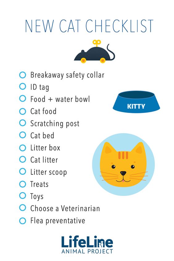 New Cat Checklist (LifeLine Animal Project)