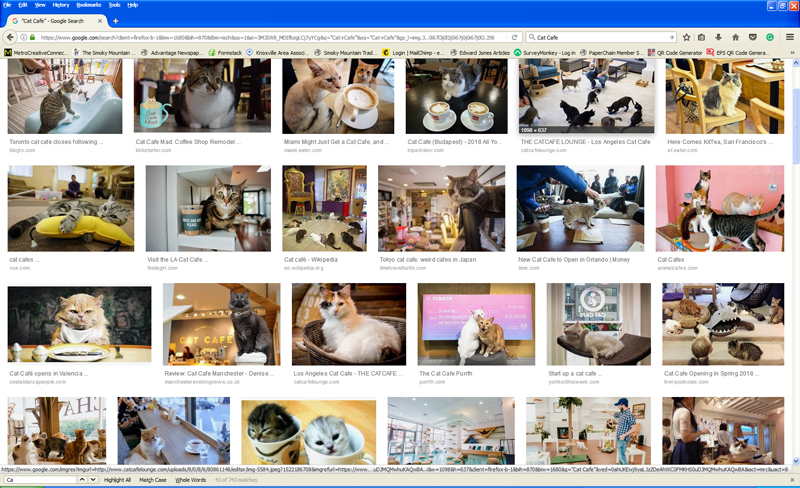 Cat Café - A Cat themed cafe where you can watch or play with cats. #CatCafe #CatCafé (Screen Shot of Cat Cafe)