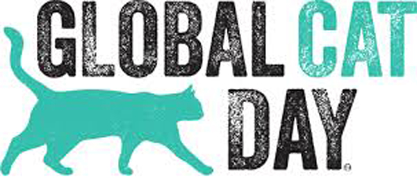 Global Cat Day (National Feral Cat Day) #GlobalCatDay