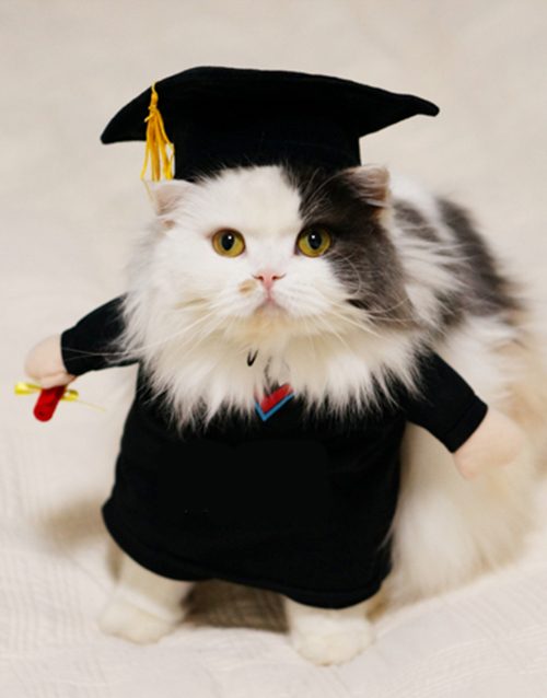 Graduate Cat Costume (felinology the study of cats)