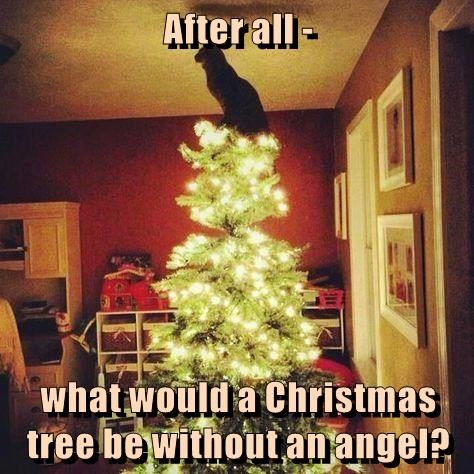After all ... What would a Christmas Tree be without an angel?