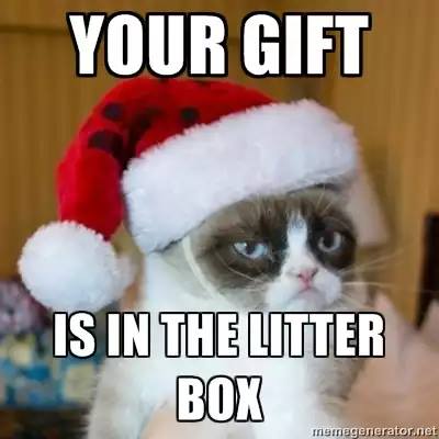 Your gift is in the litter box