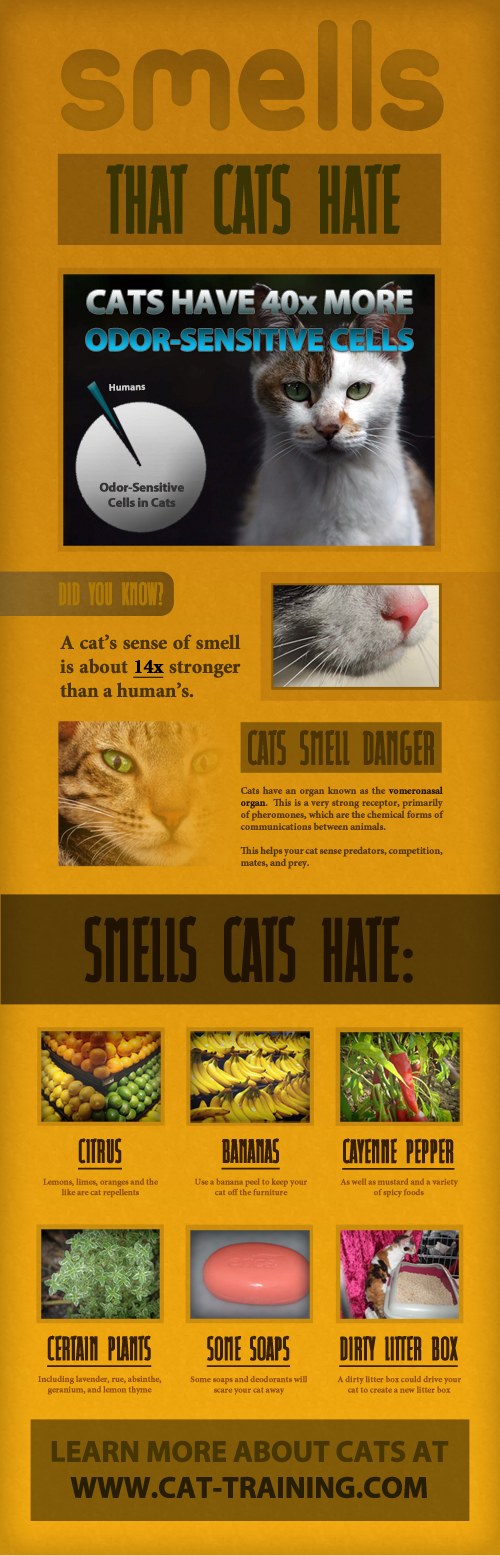 Smells Cats Hate