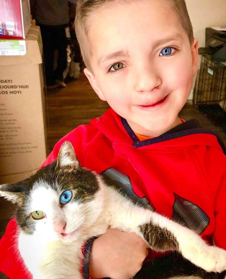 Meet noon adopted by a young boy who was bullied for having two different colored eyes and a cleft palate. Guess what? Moon has the same rate condition having two different colored eyes and a cleft palate. This Oklahoma boy is Madden Humphreys. | Photo Christina Humphreys